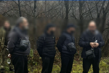 чоловіки, ліс