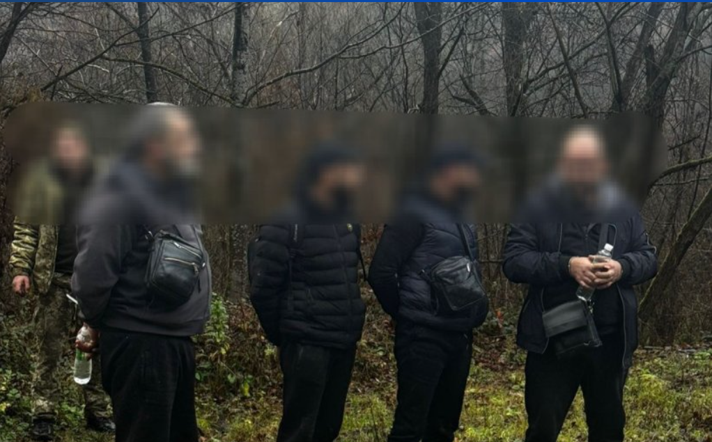 чоловіки, ліс