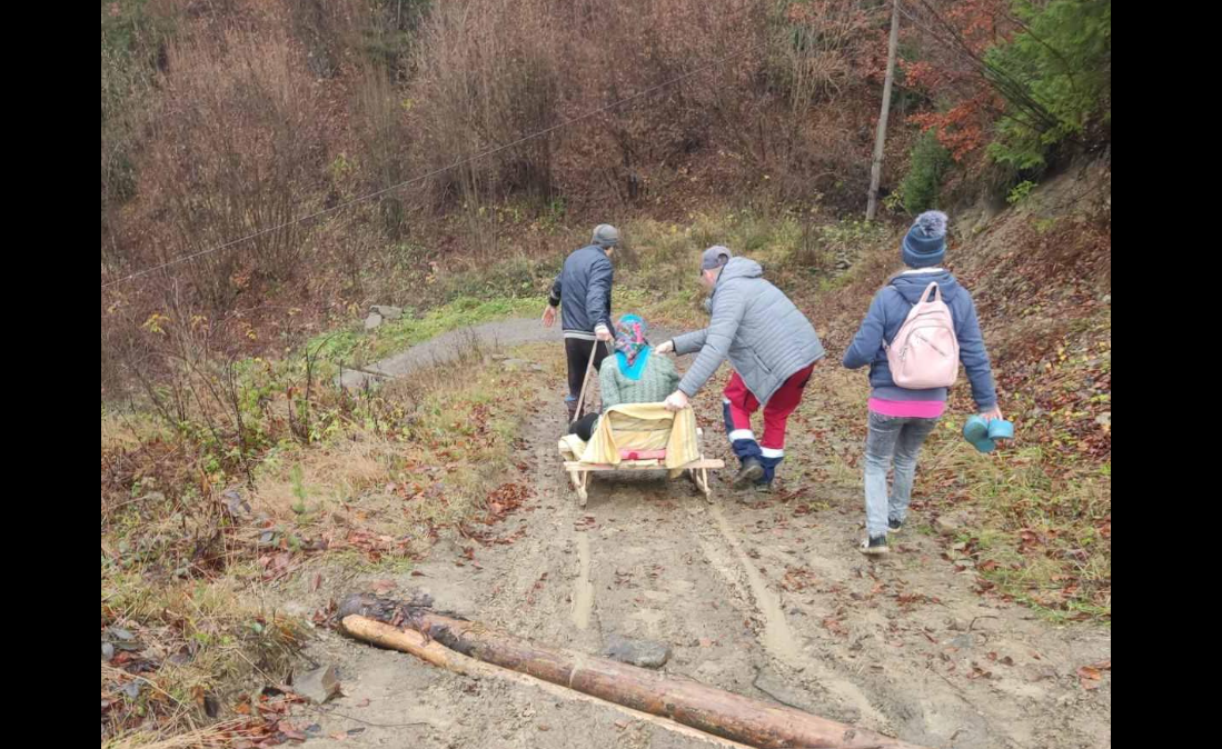 люди, дорога, ліс