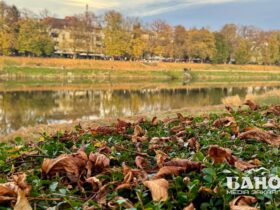 Прогноз погоди на Закарпатті