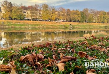 Прогноз погоди на Закарпатті
