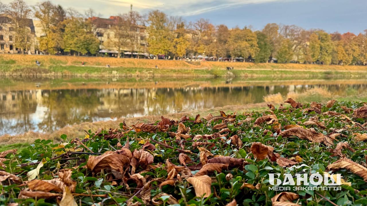 Прогноз погоди на Закарпатті