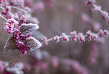 насуваються похолодання і мокрий сніг