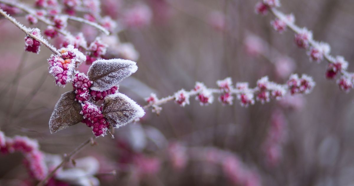 насуваються похолодання і мокрий сніг