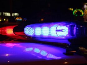 світло, авто