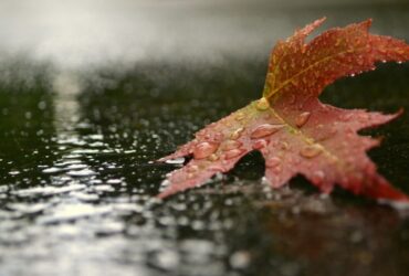 погода на Закарпатті