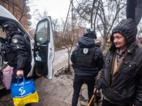 люди, авто, дерева