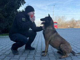 чоловік, пес