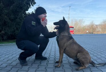 чоловік, пес