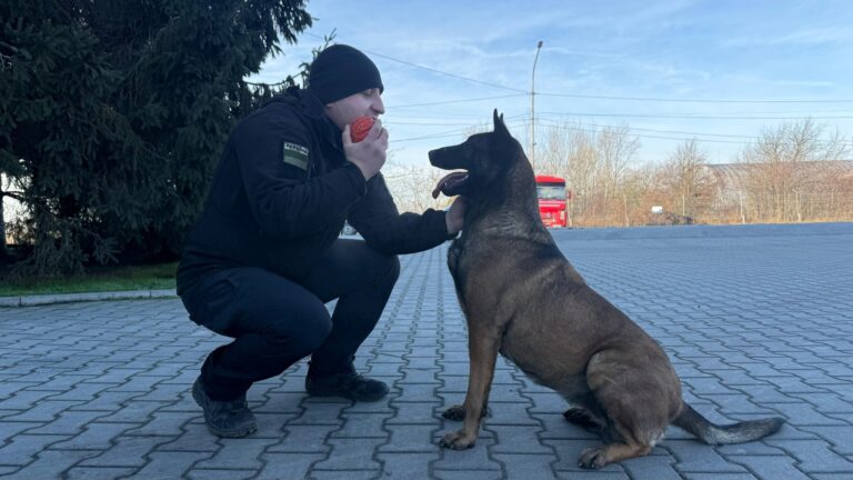 чоловік, пес