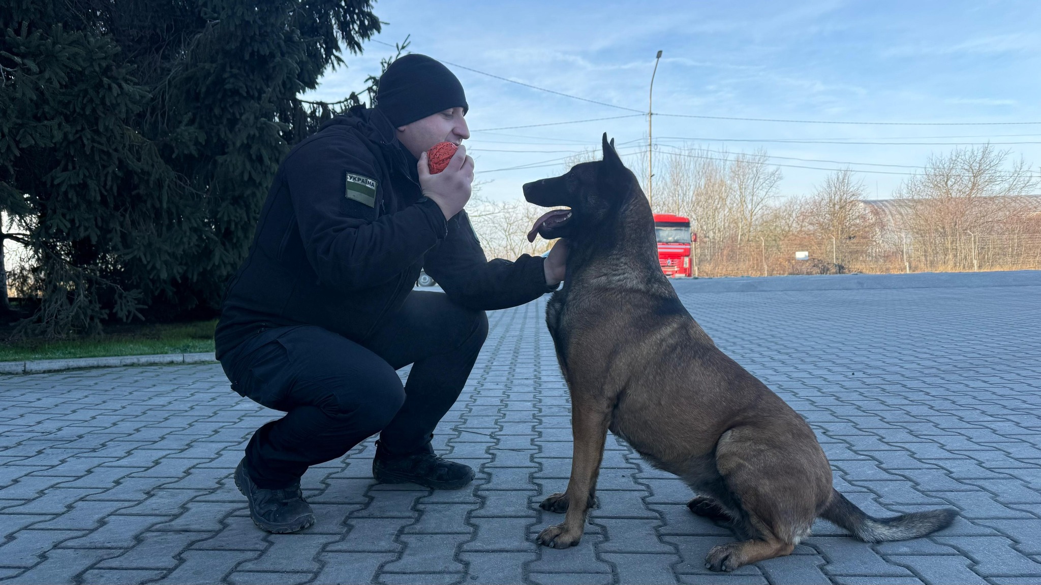 чоловік, пес