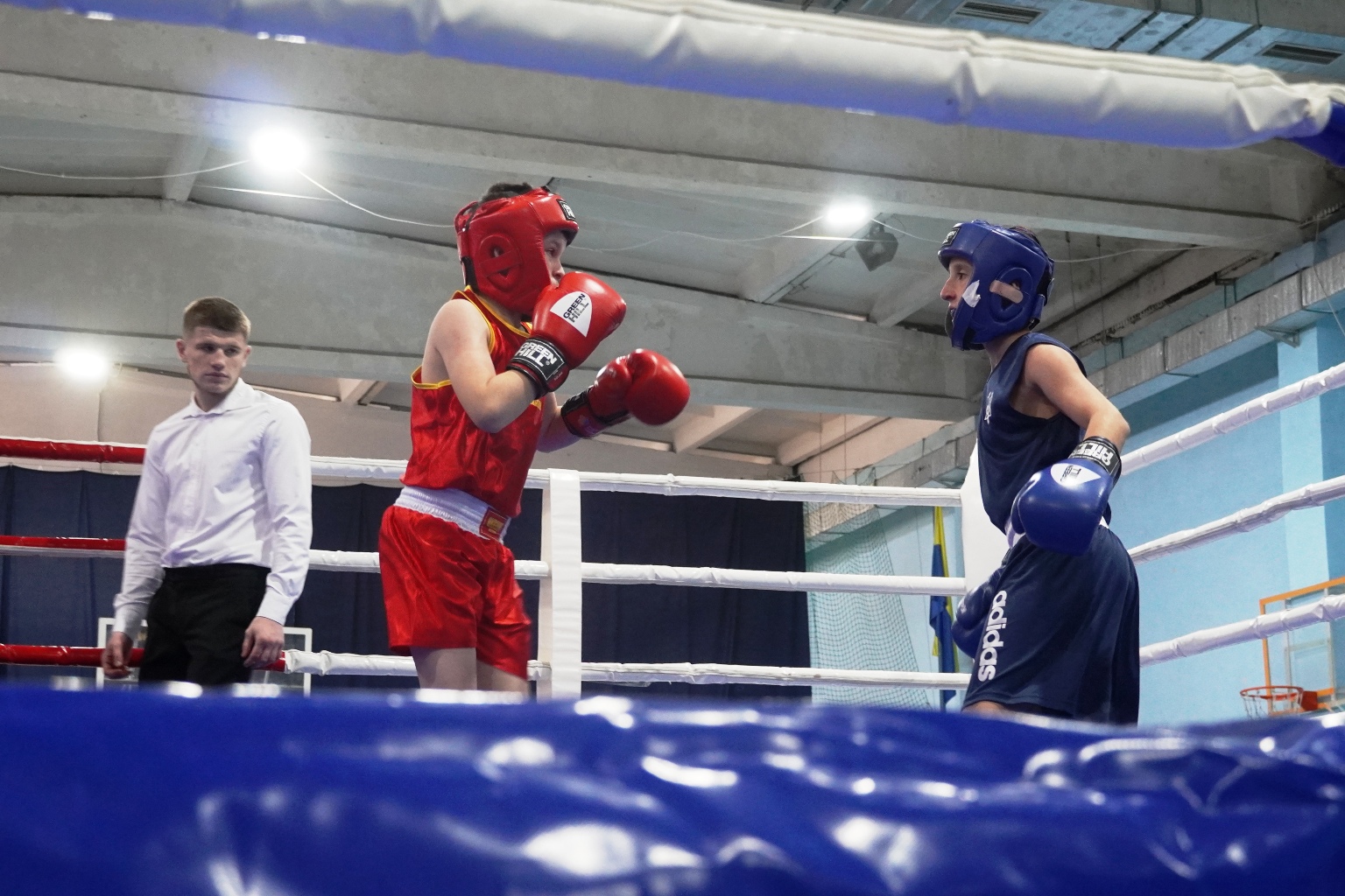 хлопці, ринг