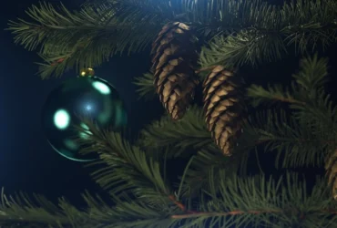 ялинка, іграшка