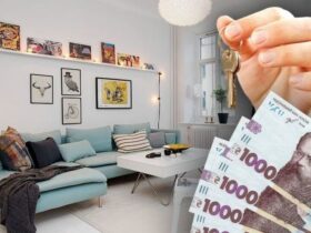 обманюють з житлом