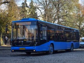 автобус, дерева