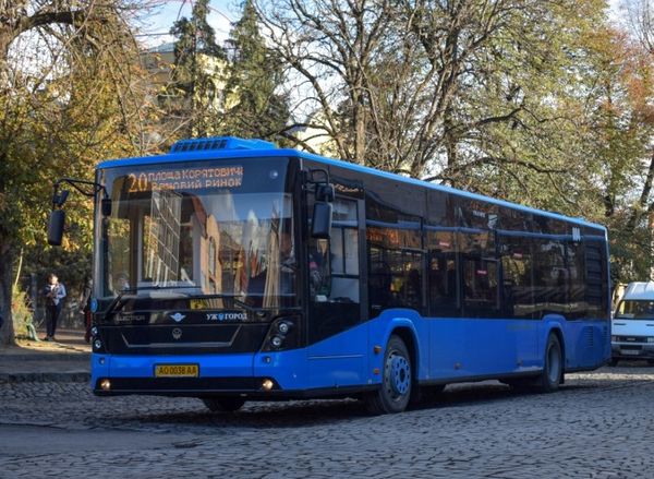 автобус, дерева