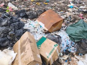 коробки, сміття