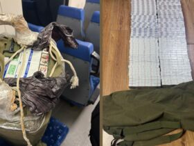 рюкзак, пачки