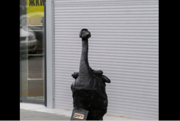 гусак, вулиця