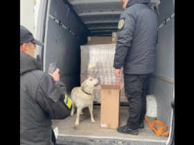 правоохоронці, пес