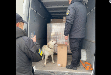 правоохоронці, пес