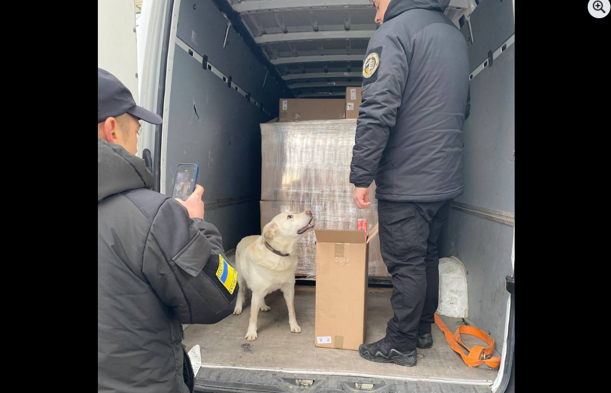 правоохоронці, пес