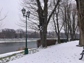 Прогноз погоди на Закарпатті