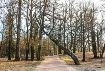 погода на Закарпатті