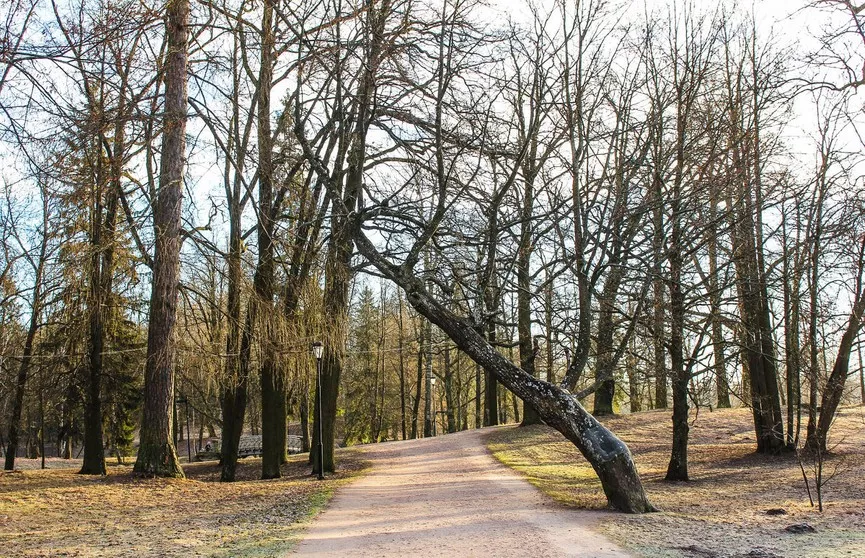 погода на Закарпатті
