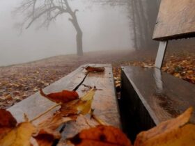 погода на Закарпатті