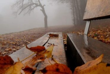 погода на Закарпатті