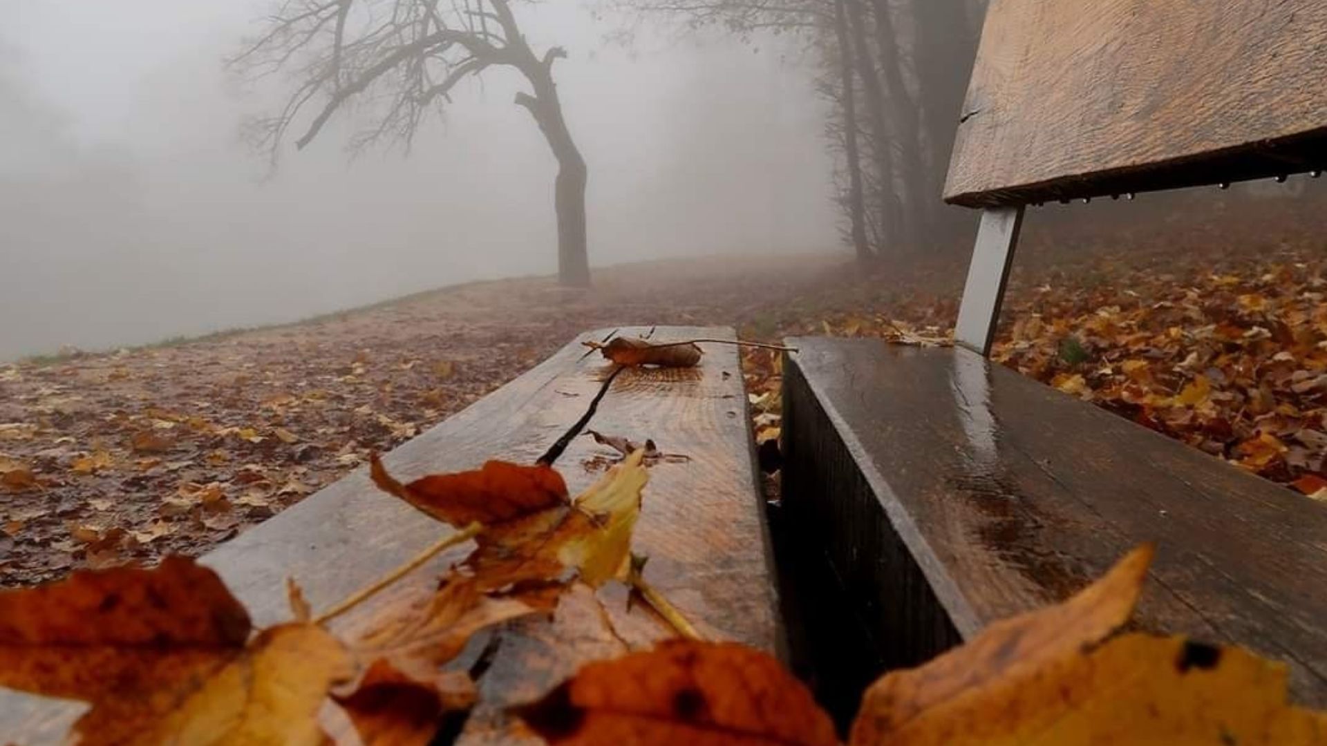 погода на Закарпатті