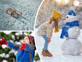 Зимові канікули