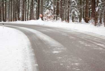 дорога, ліс