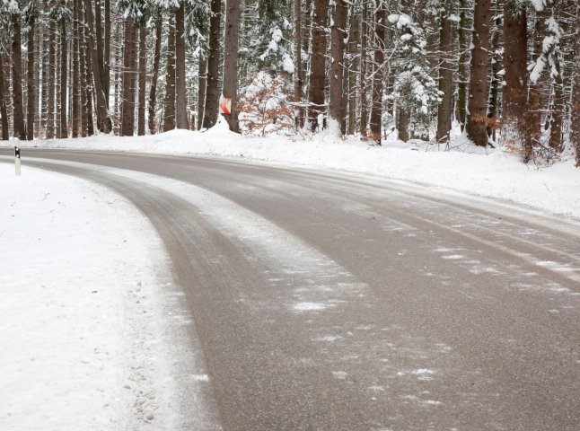 дорога, ліс