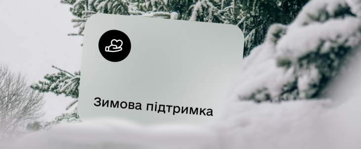зимова підтримка