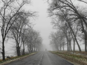 Туман, дощі та ожеледиця