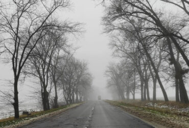 Туман, дощі та ожеледиця