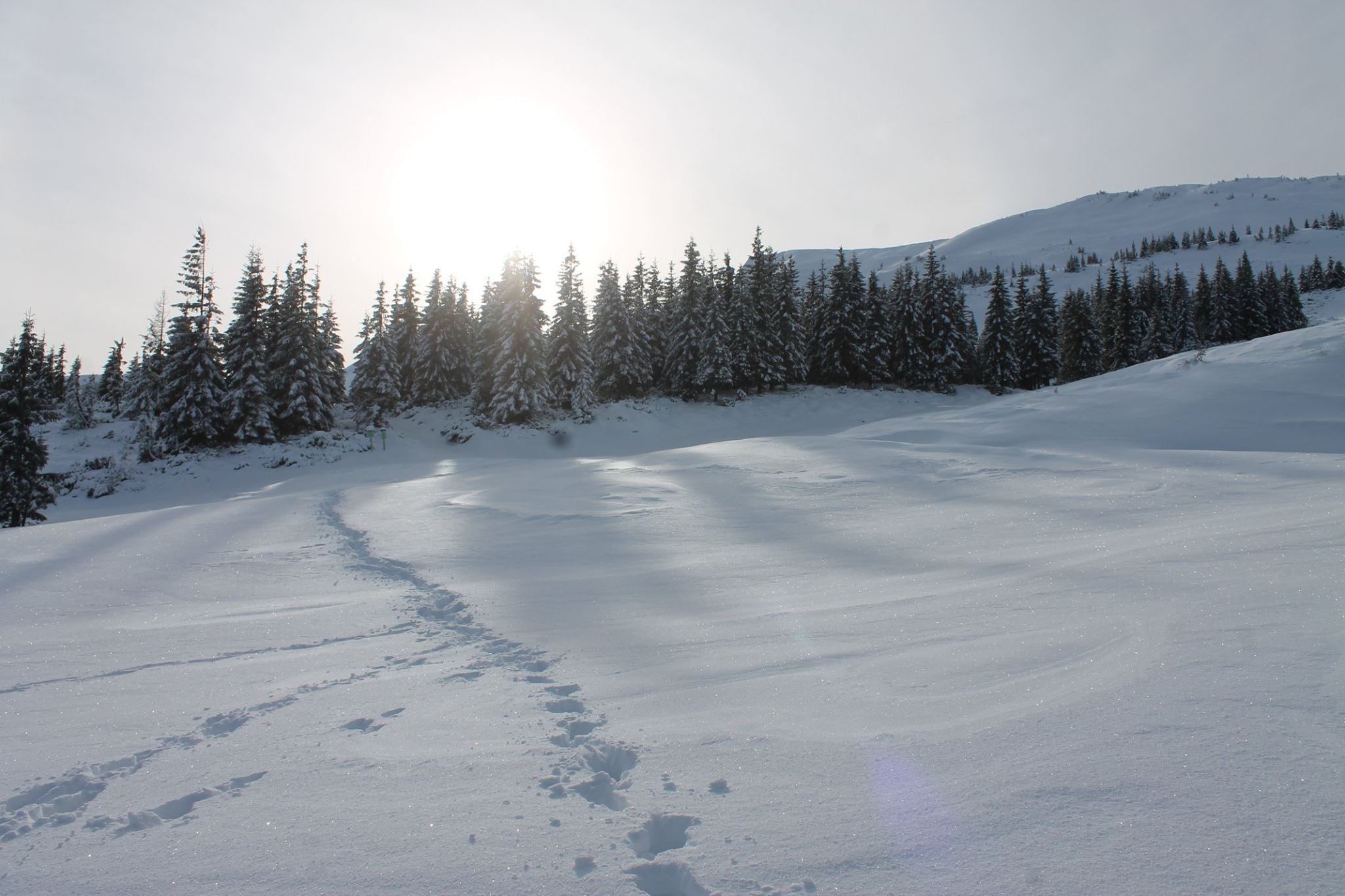 сніг закарпаття