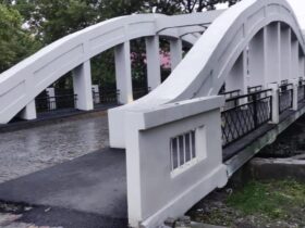 міст, дерева