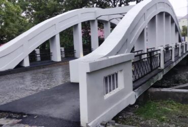 міст, дерева