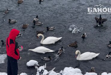 погода на Закарпатті