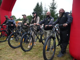 чоловіки, велосипеди, ялинки