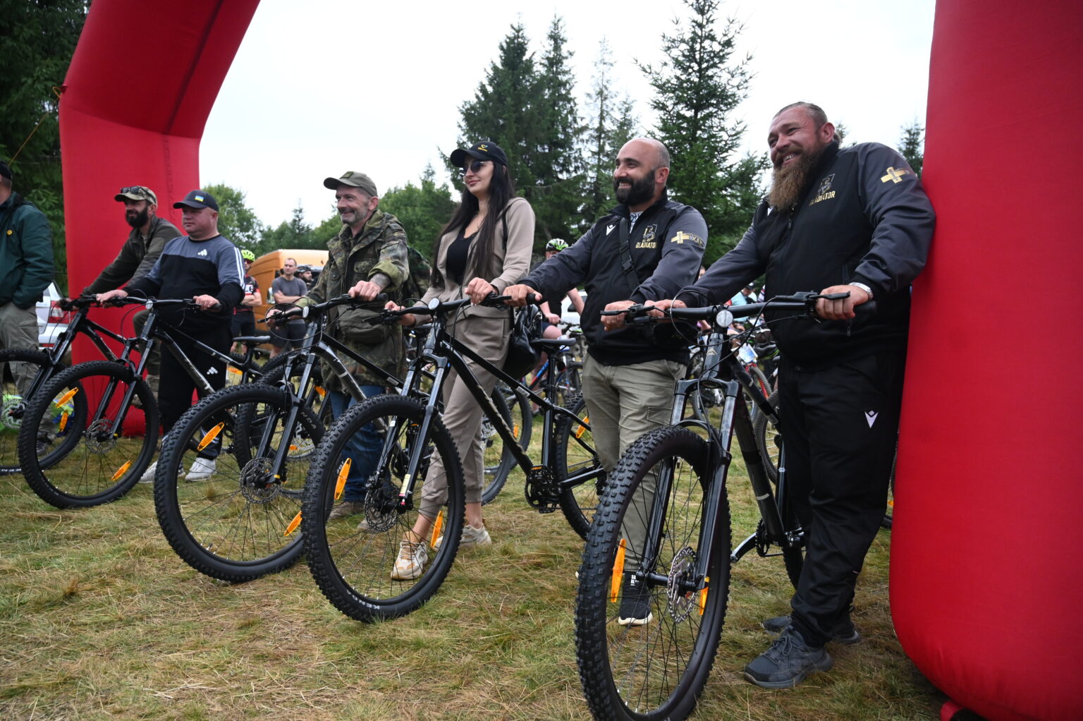 чоловіки, велосипеди, ялинки