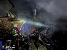 пожежники, дим, будівля