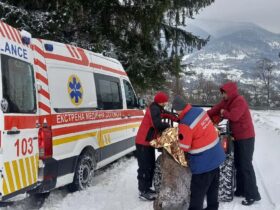 медики, авто, ялинка, сніг