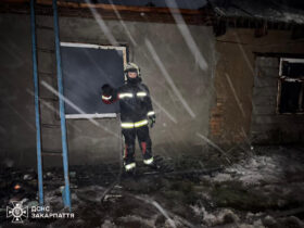 пожежник, будинок