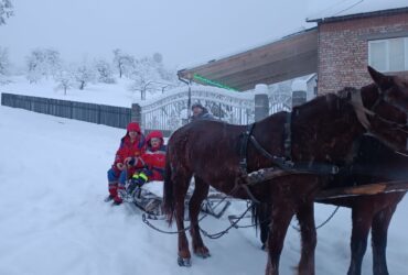 коні, люди, сніг