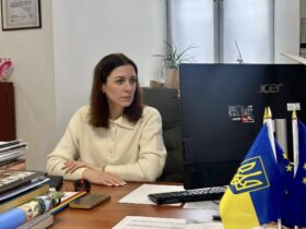 жінка, монітор, прапор