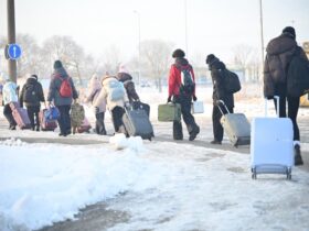 діти, валізи, сніг